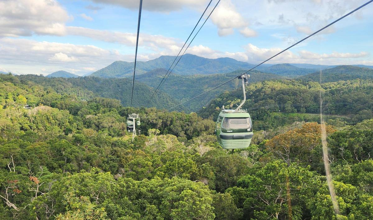 Kuranda Day Trip from Cairns