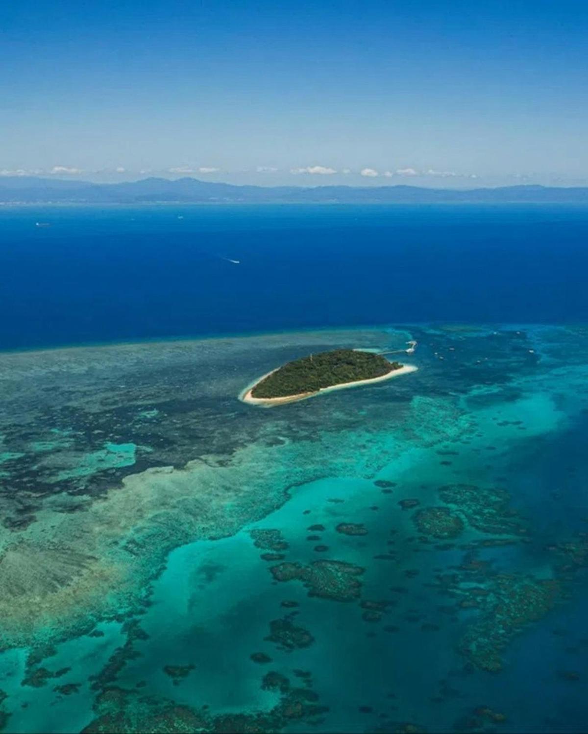 Cairns Great Barrier Reef Day Tour & City Sights Package