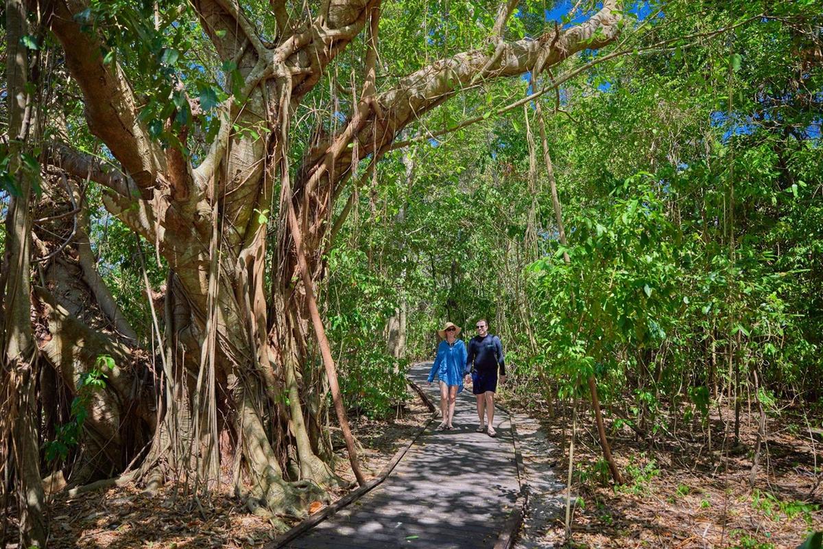 Cairns Great Barrier Reef Day Tour & City Sights Package