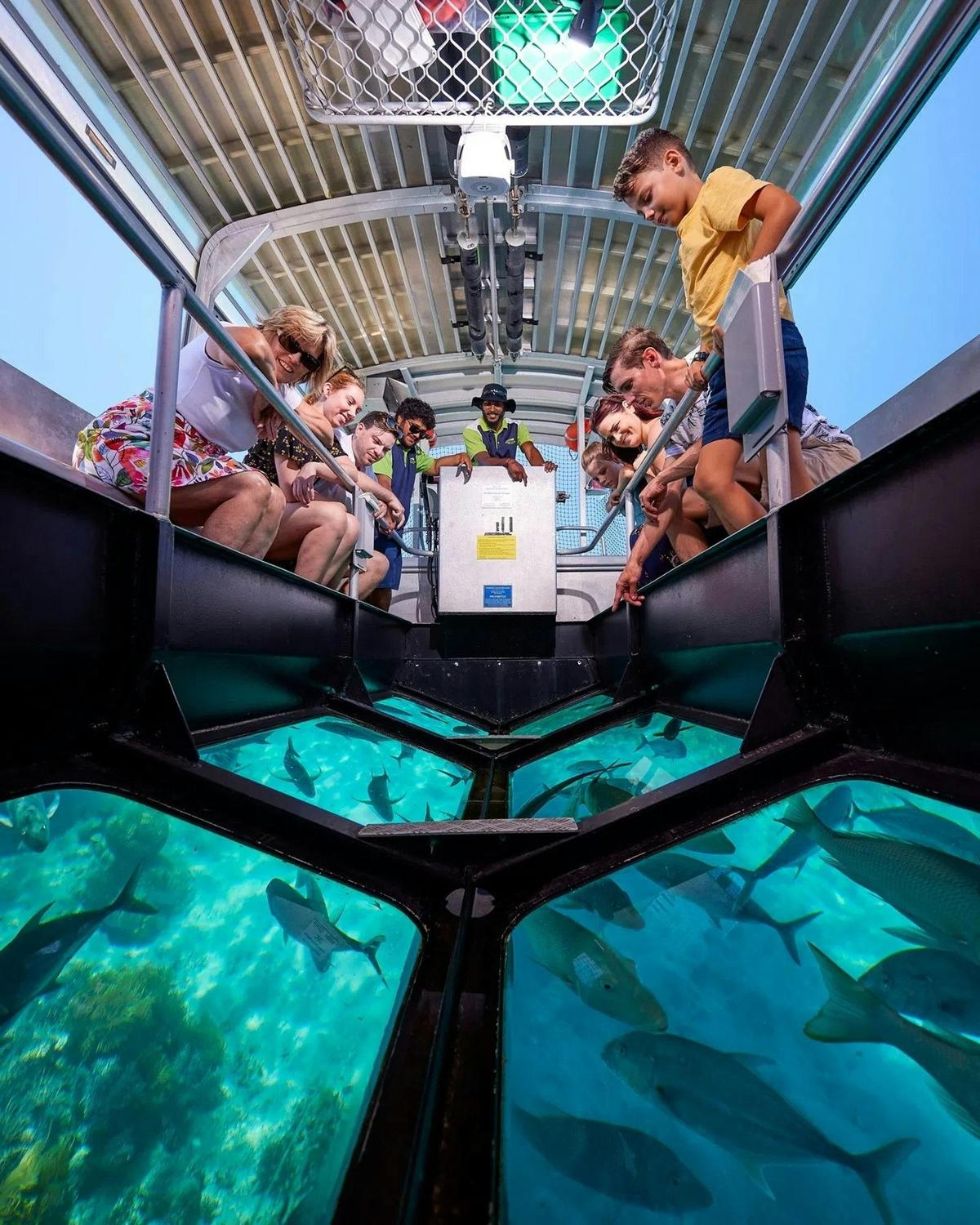 Cairns Great Barrier Reef Day Tour & City Sights Package