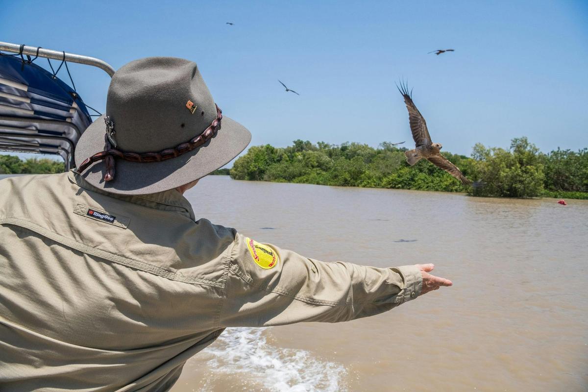 Spectacular Jumping Crocodile Cruise