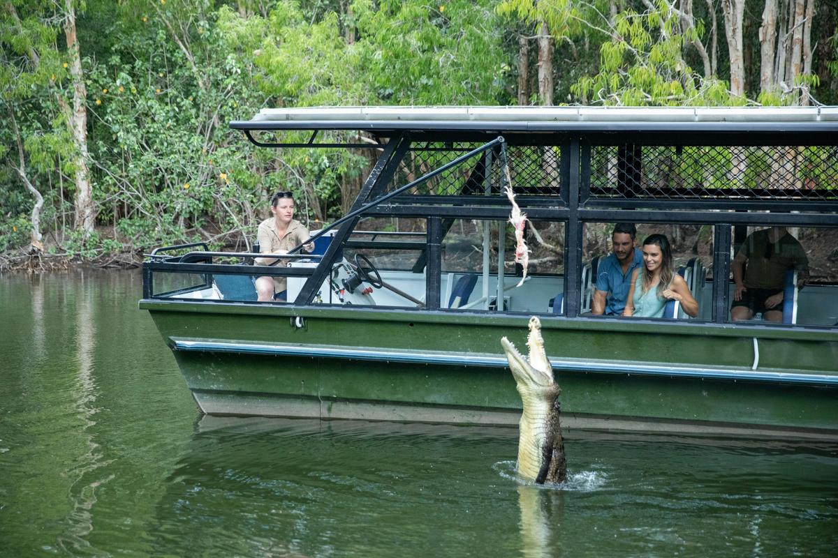 Hartley’s Crocodile Adventures