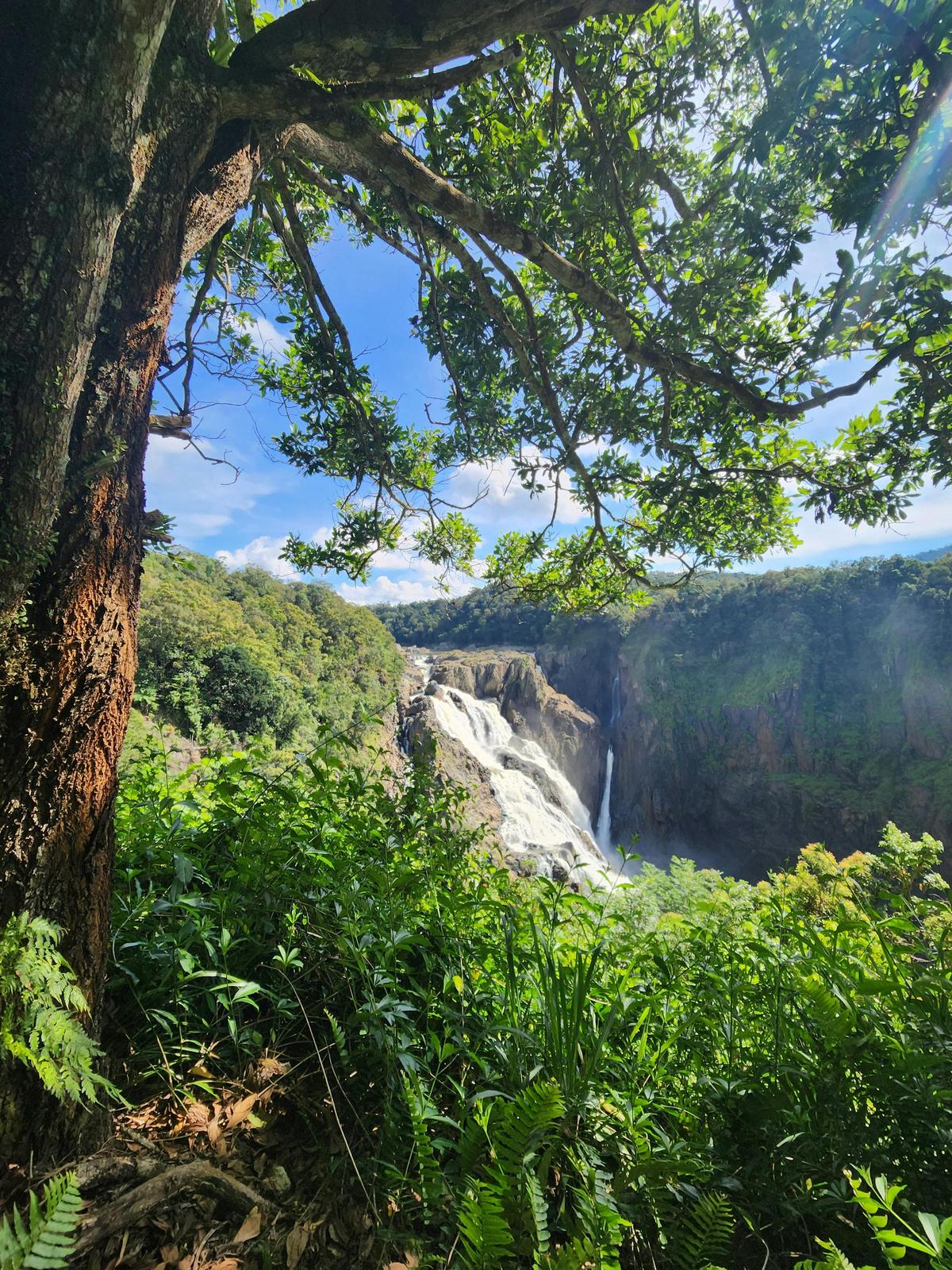 Barron Falls