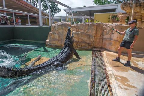 Croc Explorer