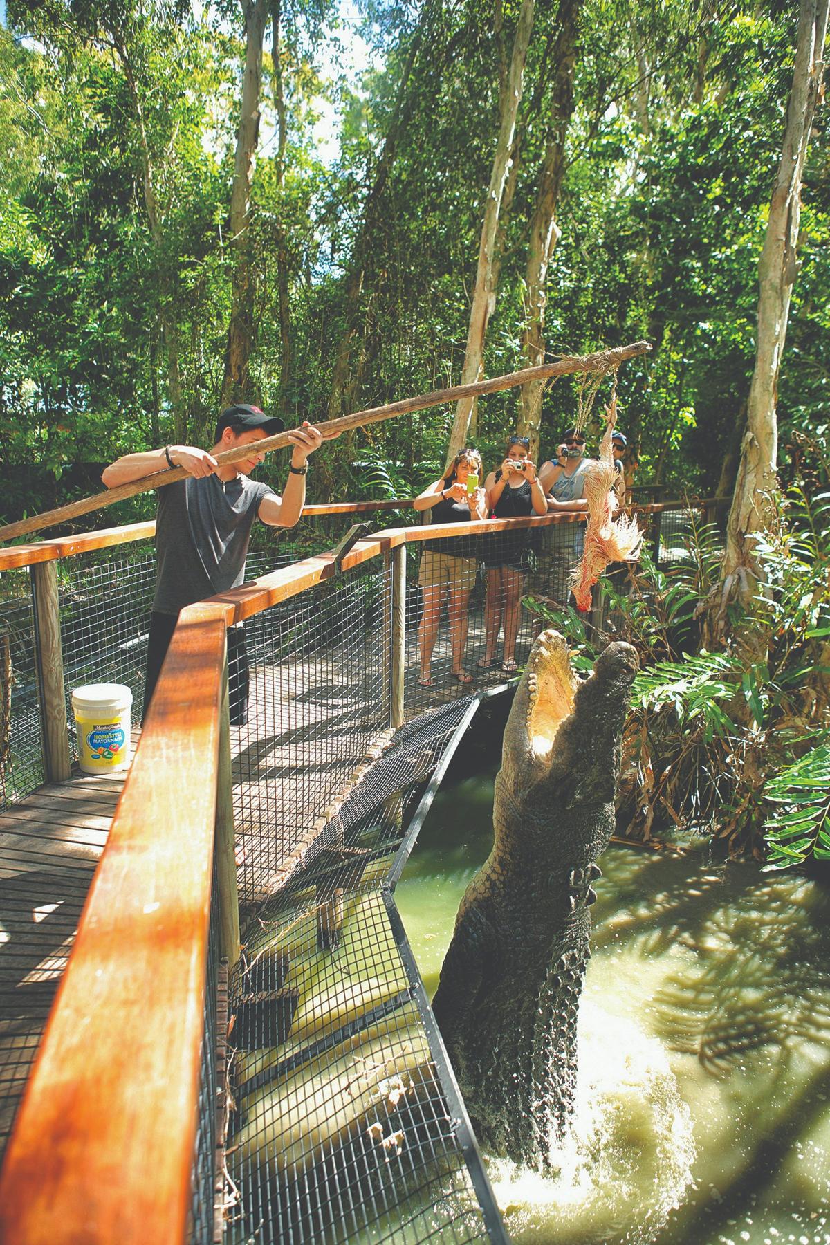 Hartley’s Crocodile Adventures