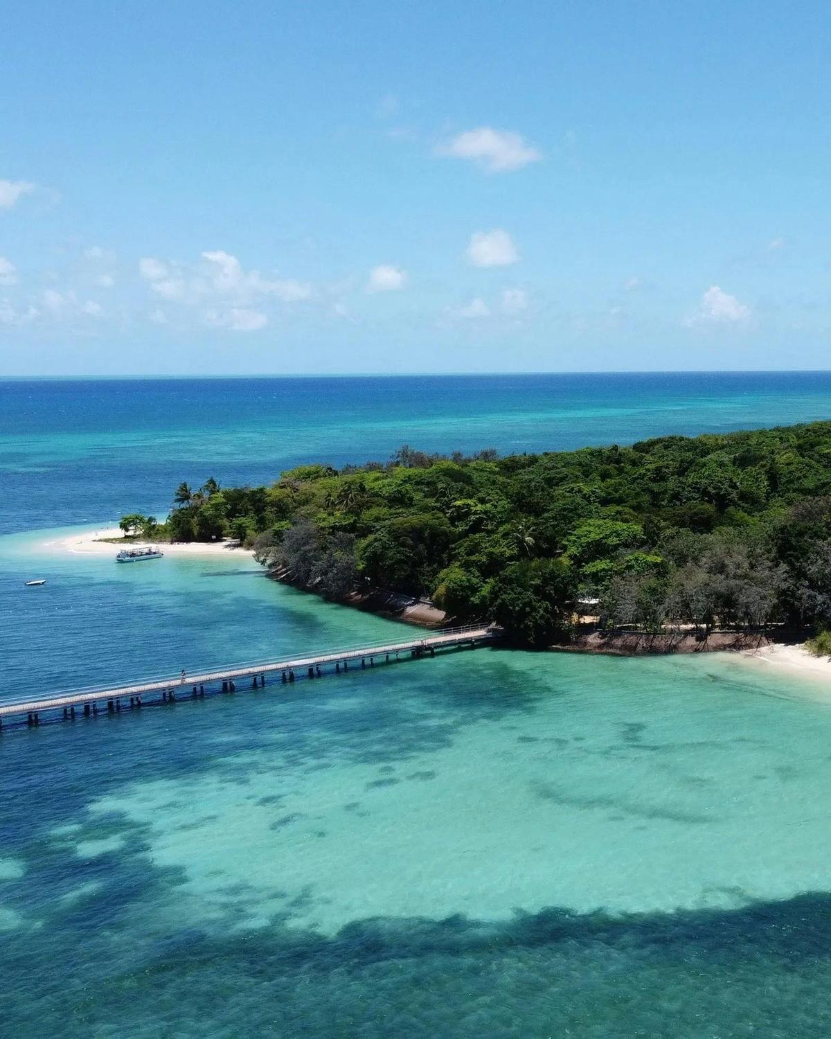 Cairns Great Barrier Reef Day Tour & City Sights Package