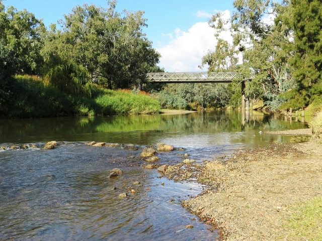 Namoi River and Woolshed Reserve