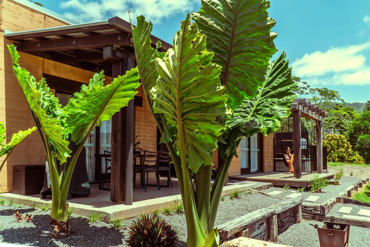 Mayan Farm Villa 1