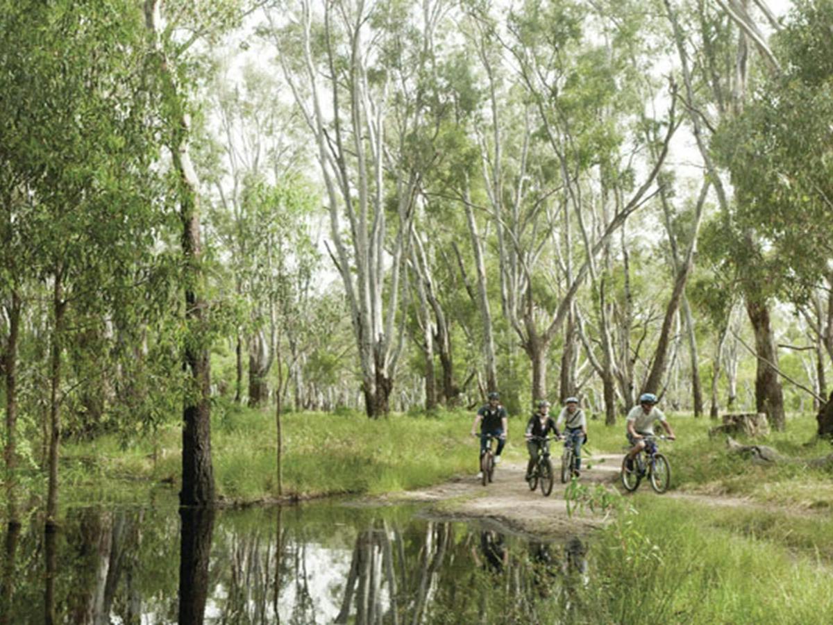 Cyclists, Murray Valley National Park. Photo: David Finnegan © DPIE