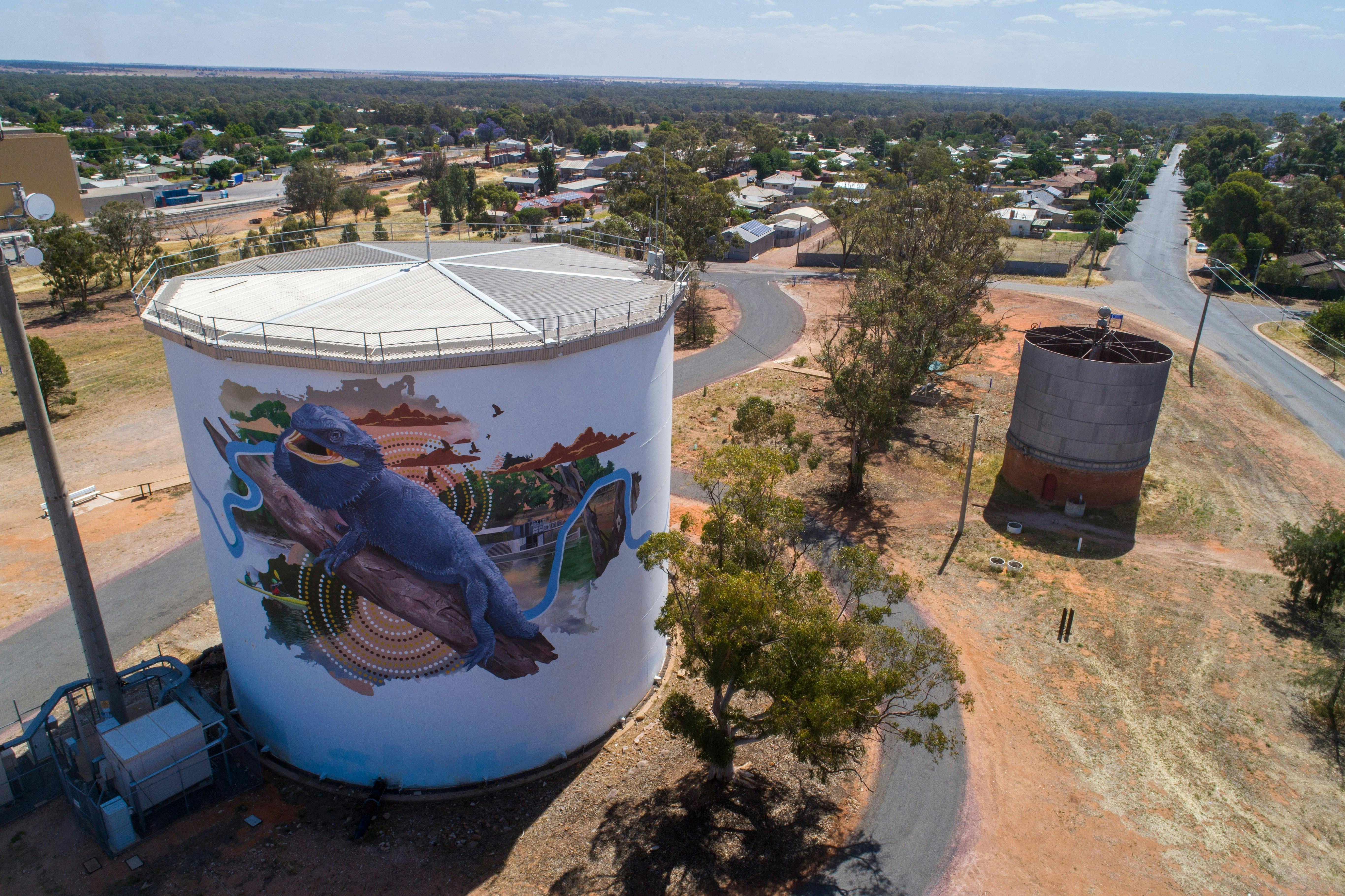 Aerial view of the Narrandera Water Tower lizard mural