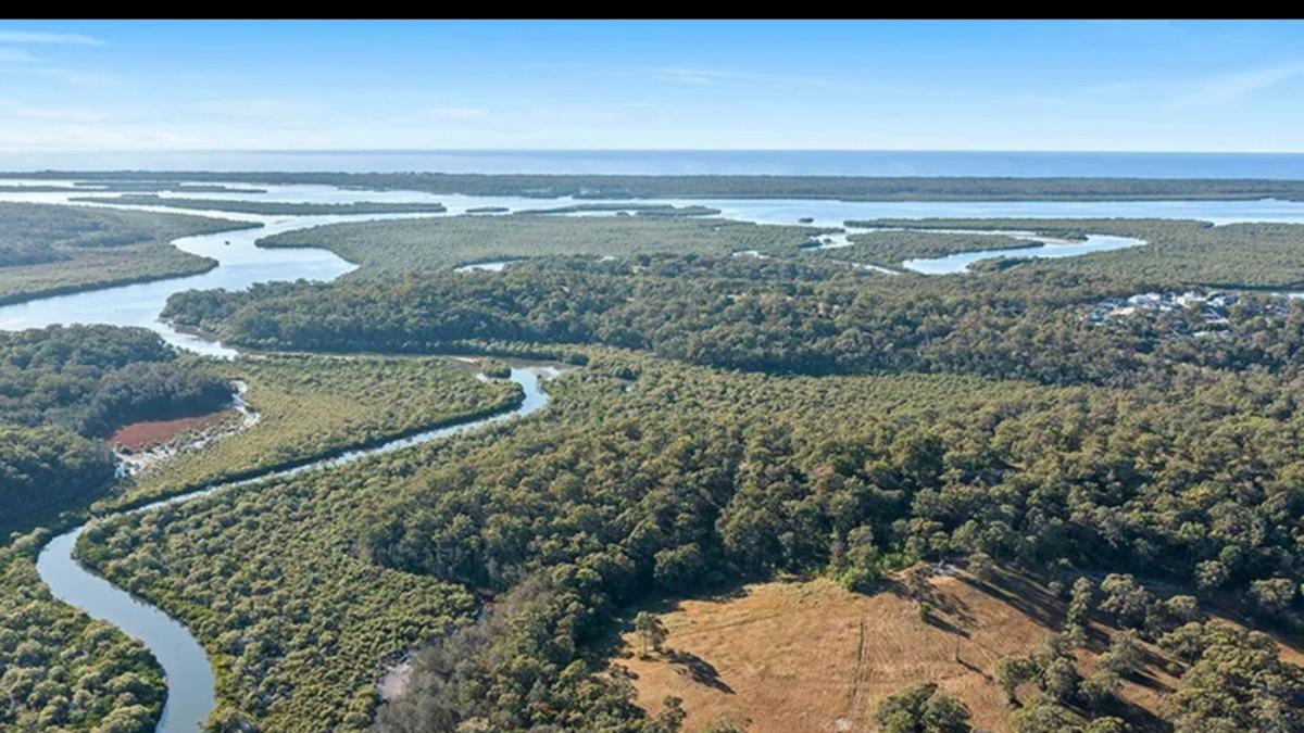 McCoy's River Views