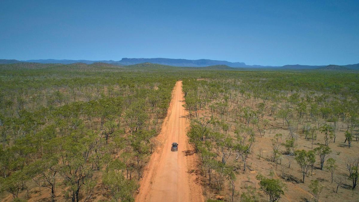 Discover the Mareeba Shire, where the lush rainforest meets the rugged outback of Tropical North Que