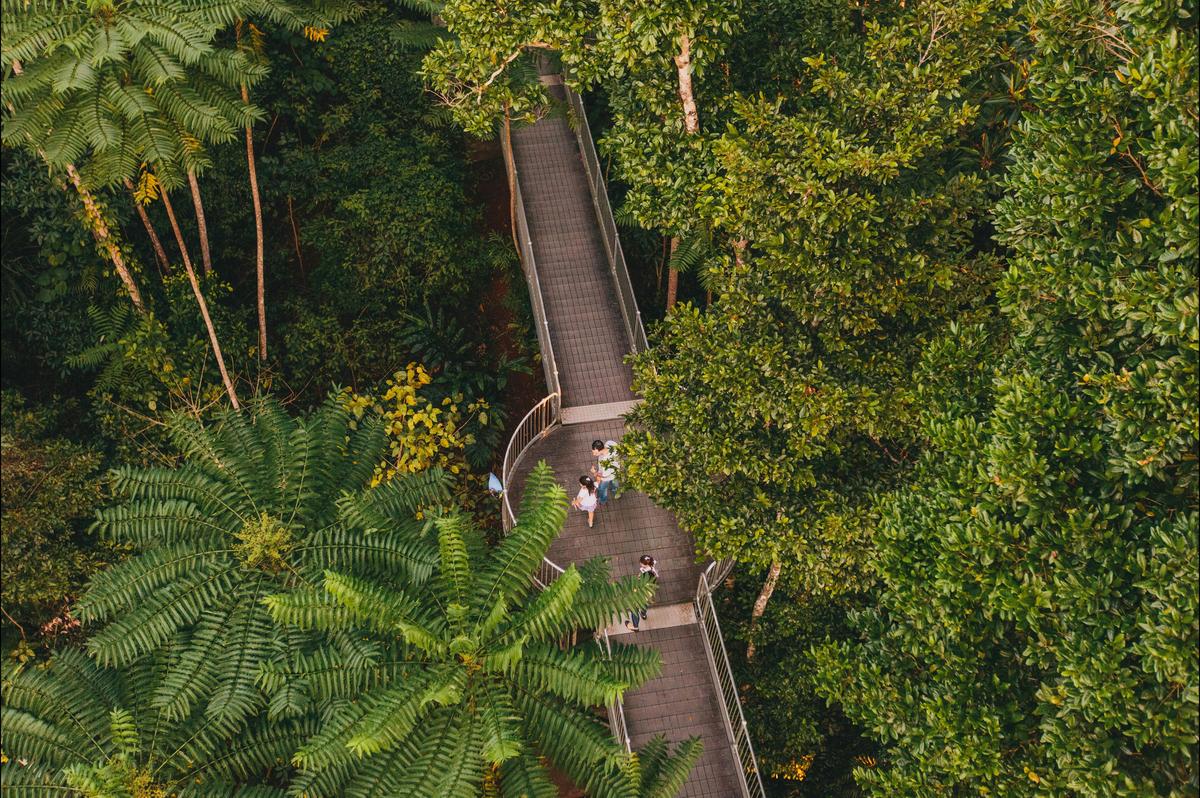 Elevated Walkway
