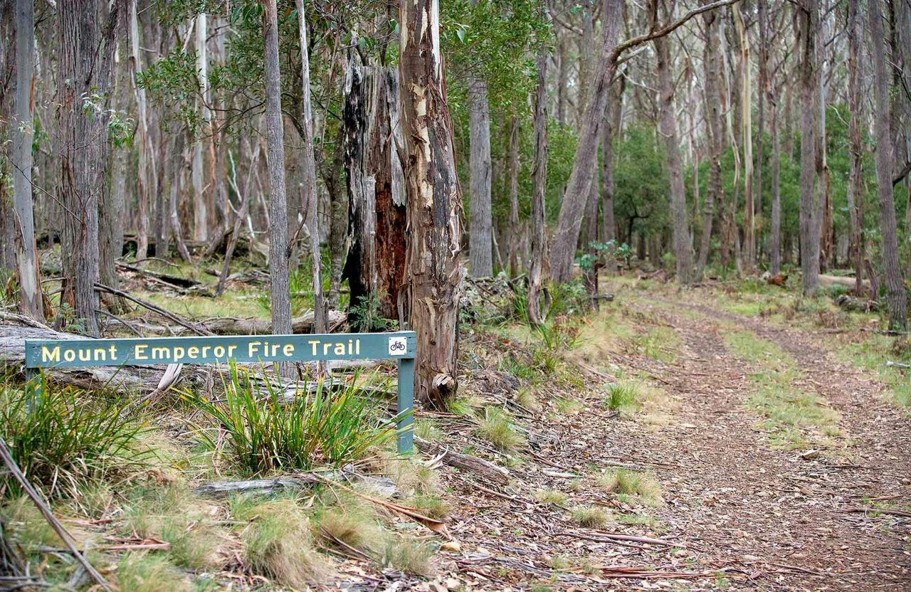 Mount Emperor loop, Kanangra-Boyd National Park. Photo: Nick Cubbin