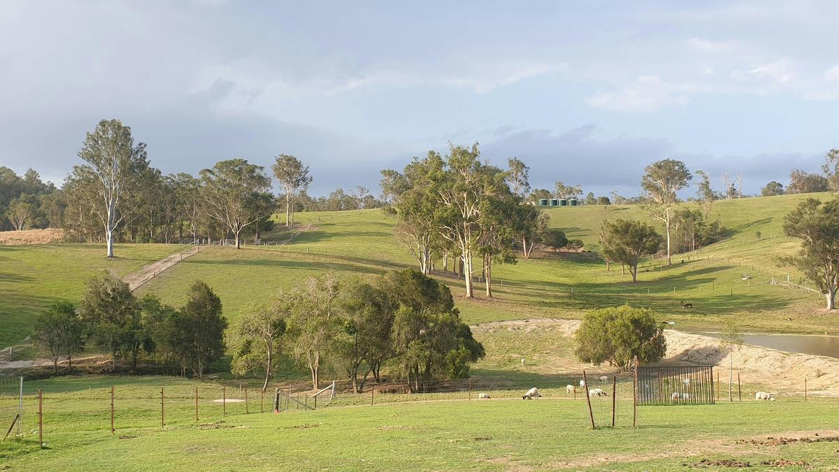 Macallon Farm Stay