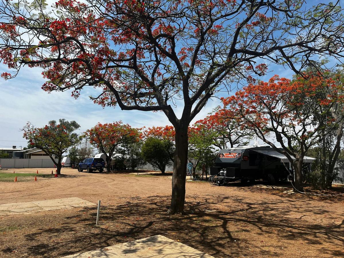 Shady Caravan and Motor Home Sites