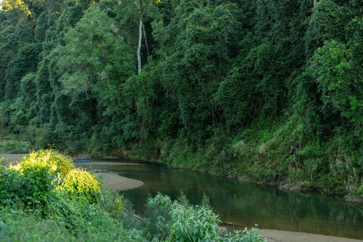 Mary River