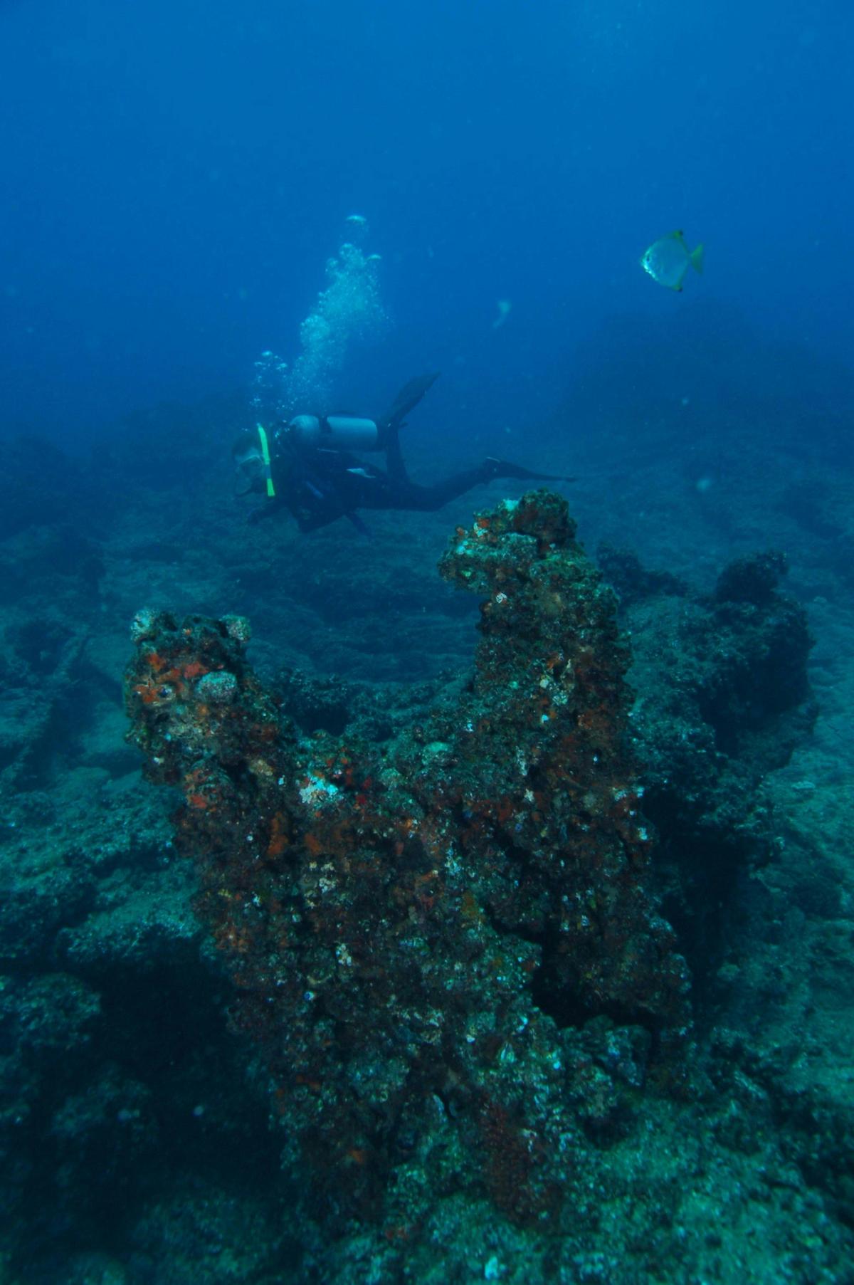 Marietta Dal Shipwreck Dive Site