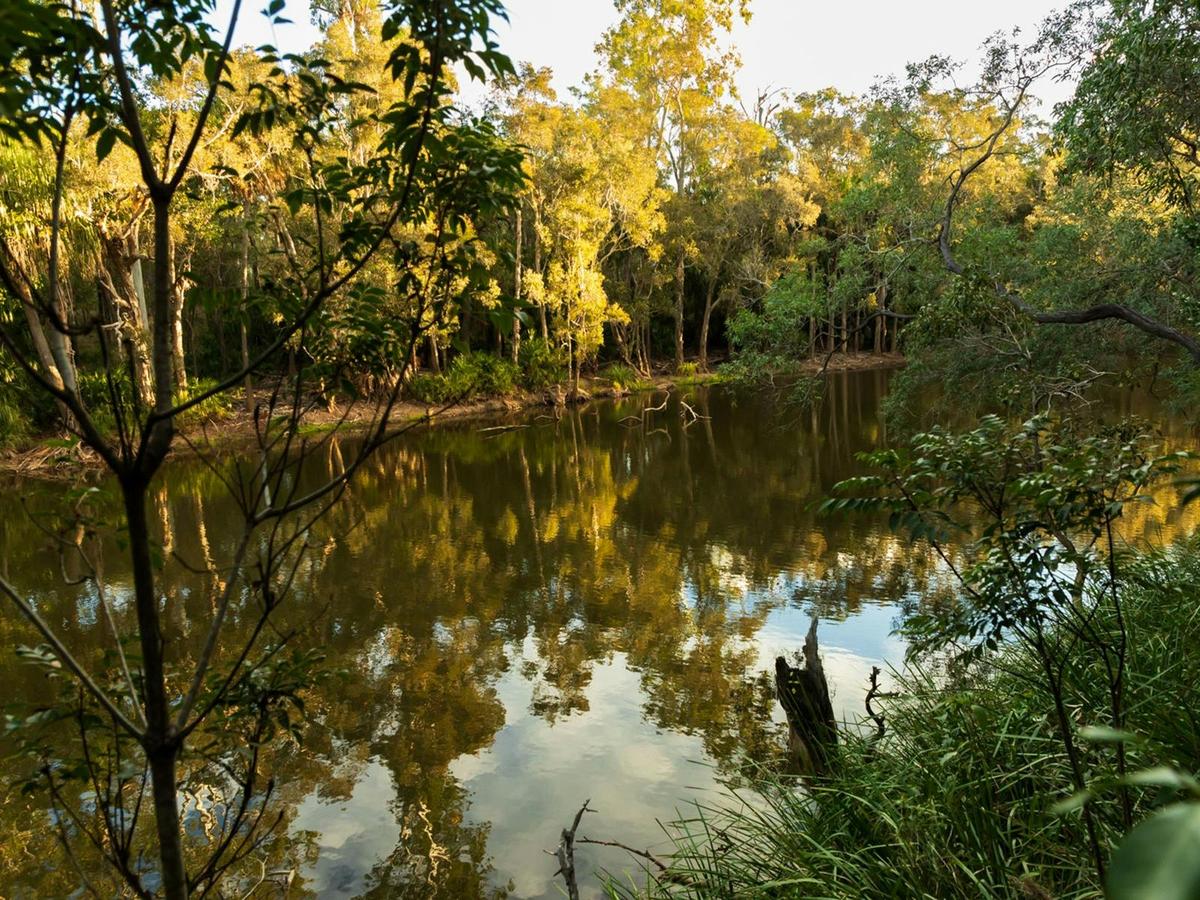 Meadowvale Nature Park
