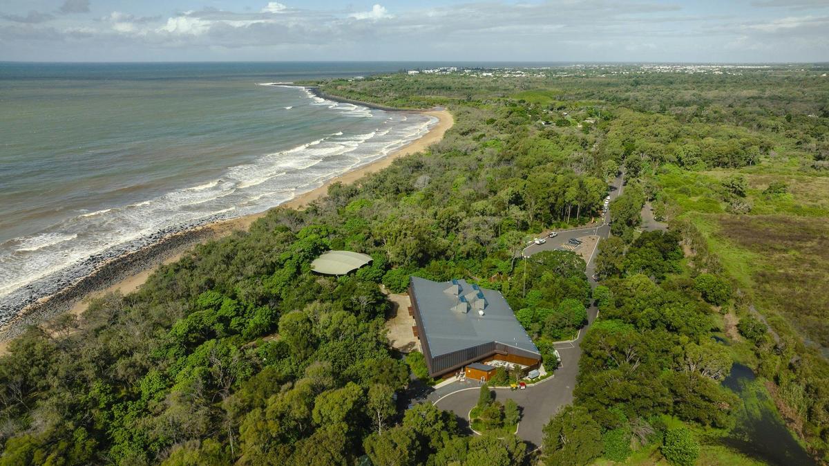 Mon Repos Beach