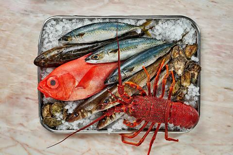 Miami Fish Market