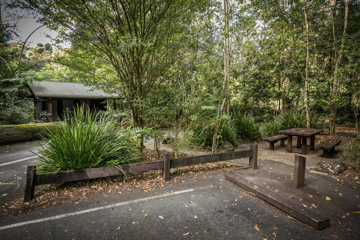 Toilets and picnic tables are provided at the Mount Cougal day-use area