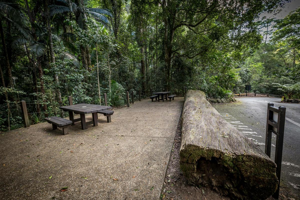 The small picnic area is located adjacent to the car park and beside the walking track entrance.