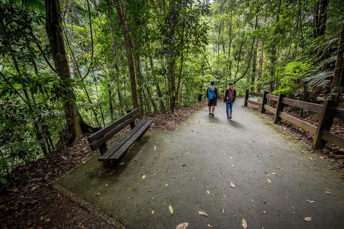 The 800m Cascades track is a bitumen path is suitable for prams and assisted wheelchair a