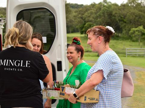 Mingle Minis Tour