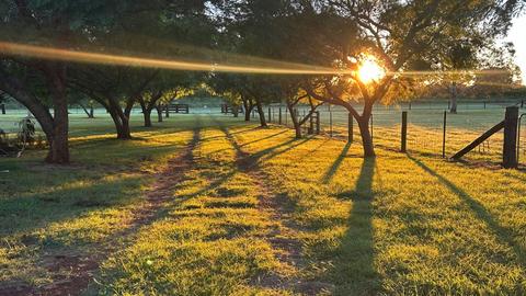 Maple Acres
