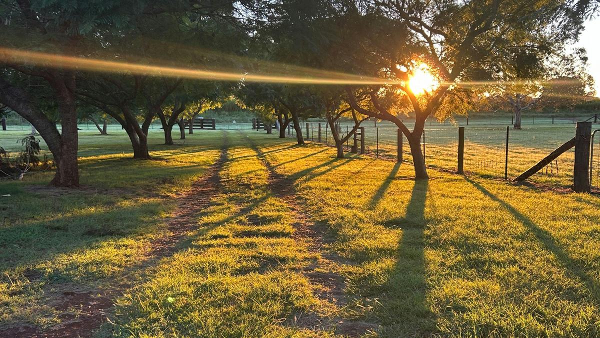 Maple Acres