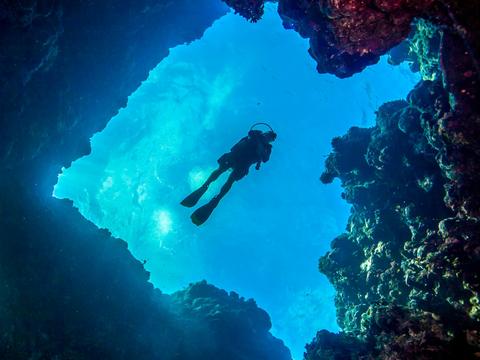 Coral Sea Safari
