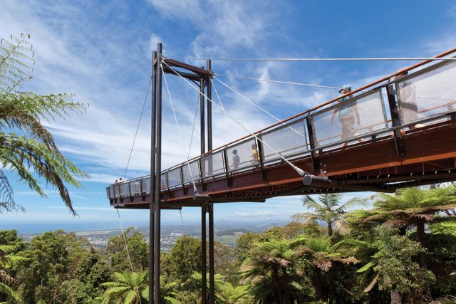 Niigi Niigi - Sealy Lookout