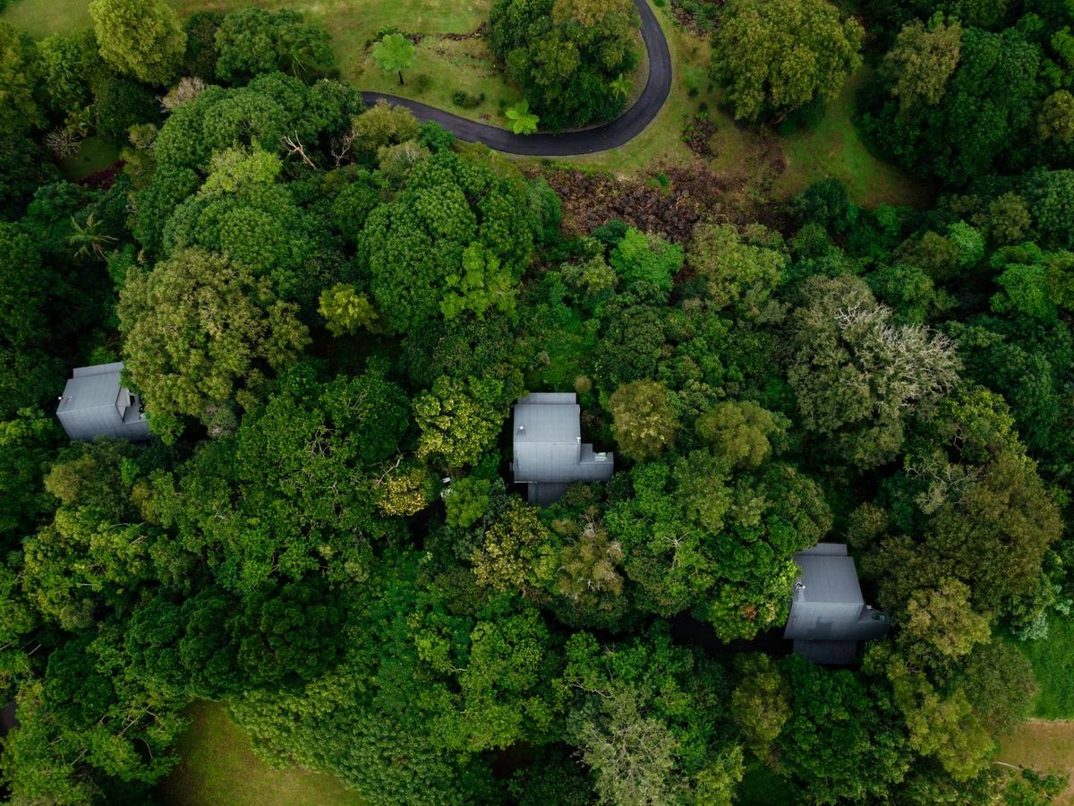 Savoy, Charleston and Gatsby Cottages