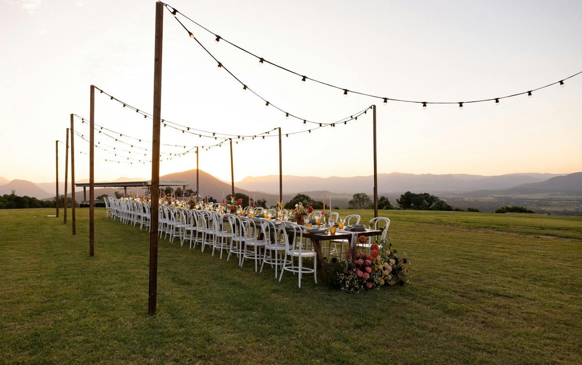 Dining on the lawn