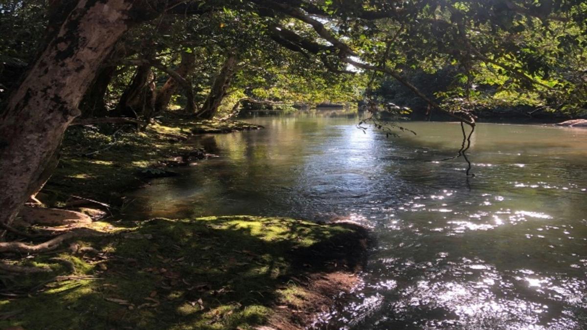 Mena Creek River Retreat Camp