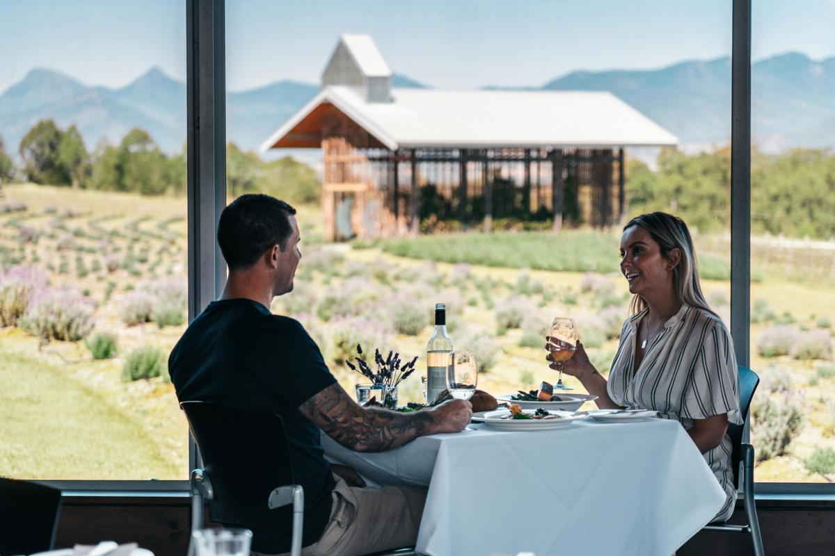 Visiting Kooroomba Vineyards on the Scenic Rim Tour