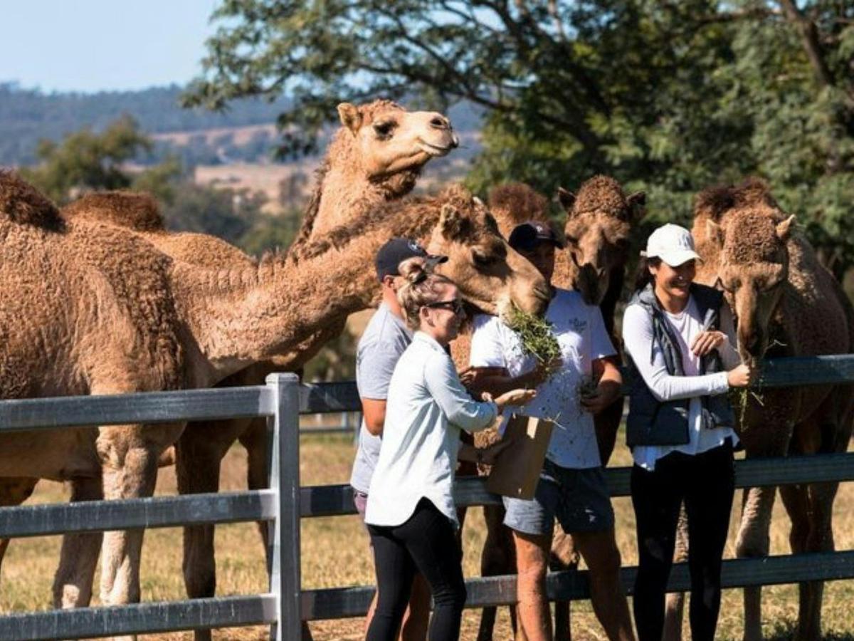 One Hump Wine Tour