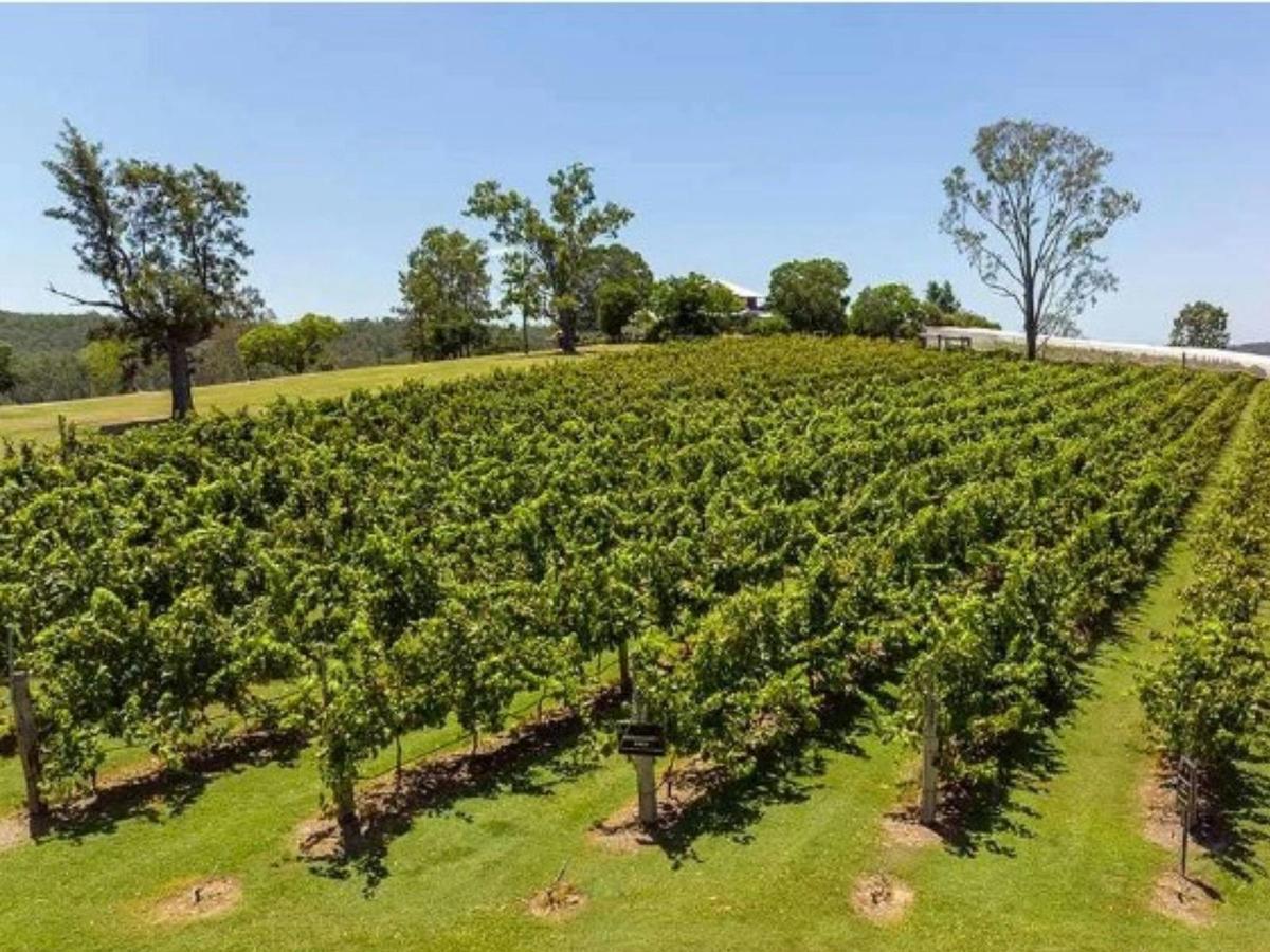 One Hump Wine Tour