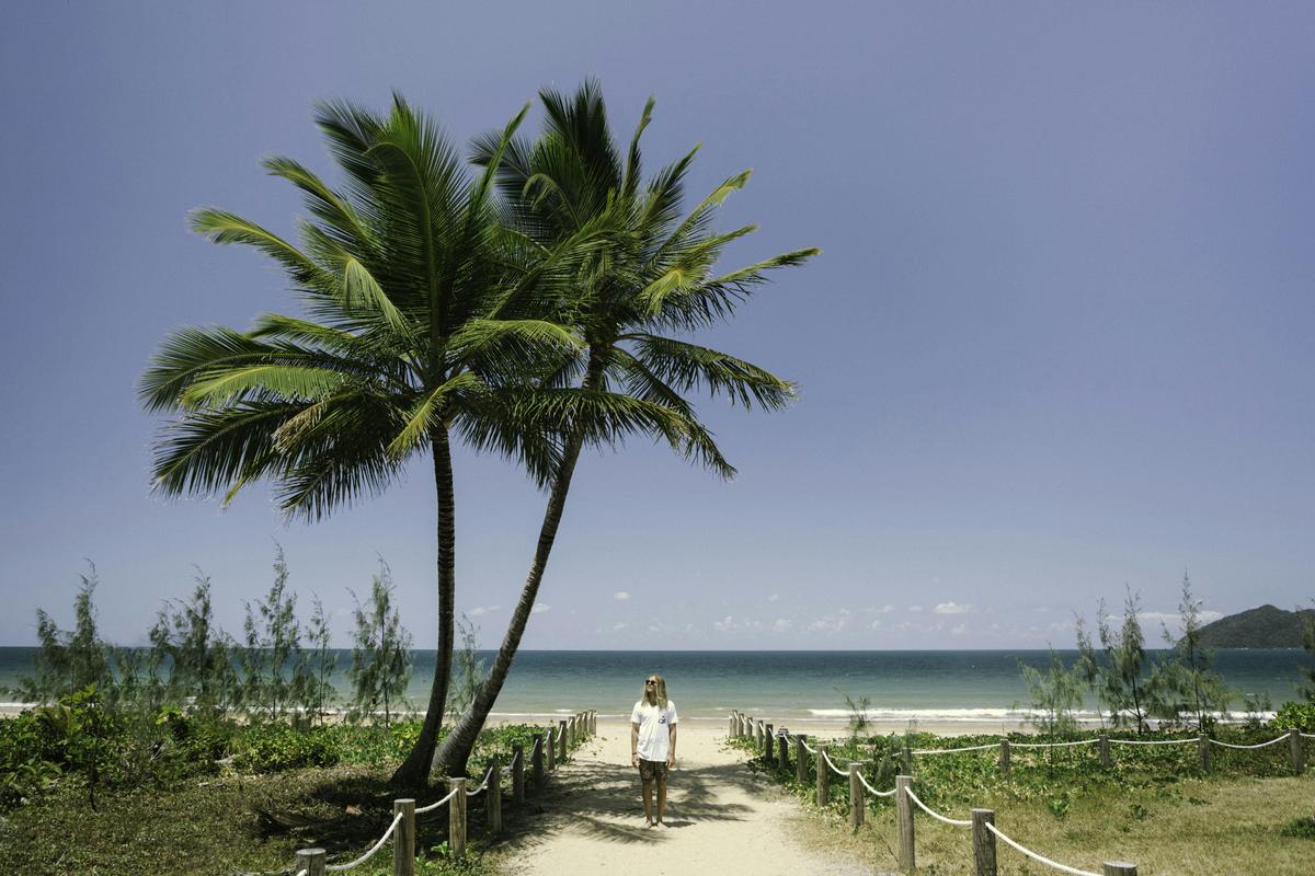 Palm tree perfection at Wongaling south Mission BEach
