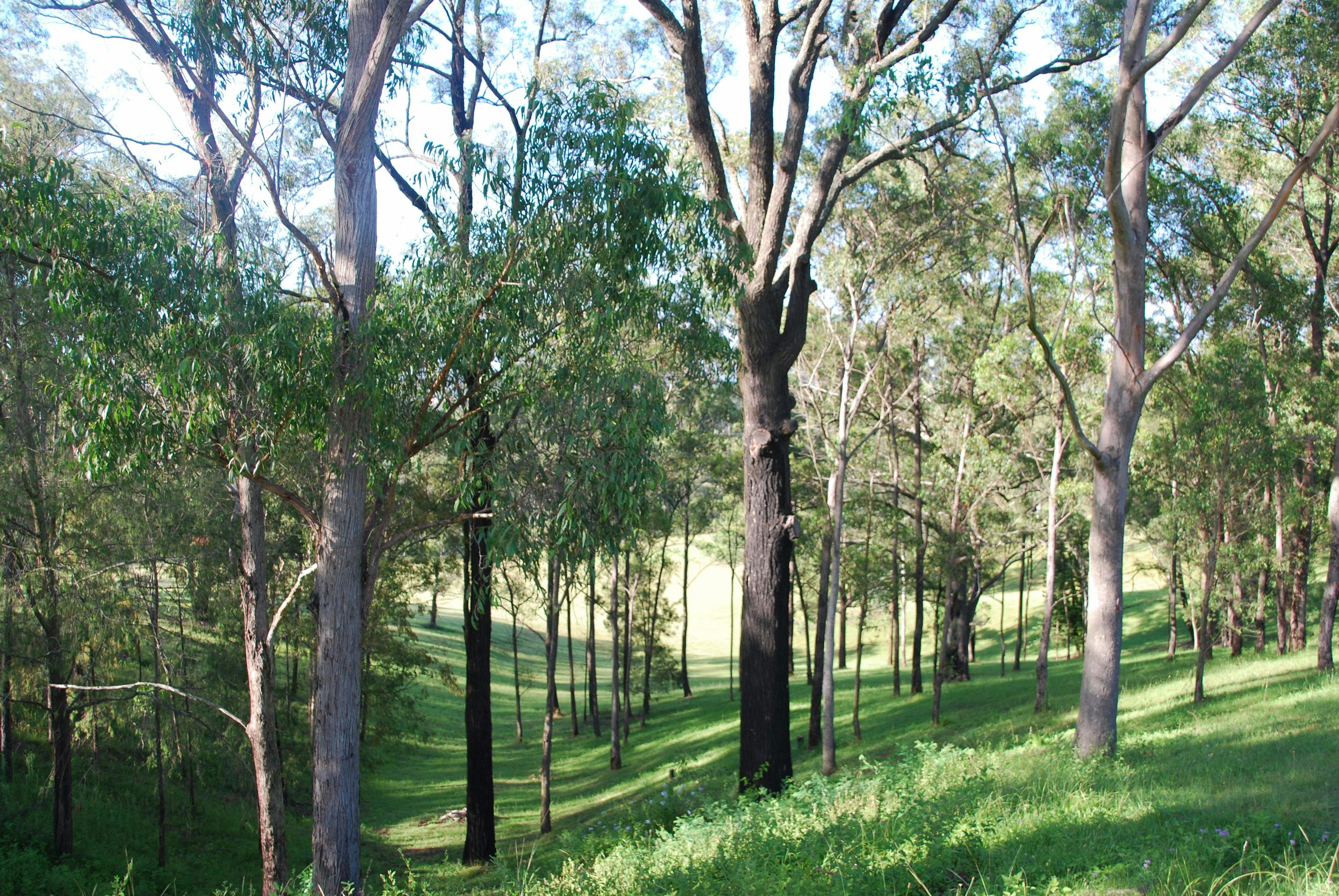 Rural Views at Mount Schoenstatt, Mulgoa