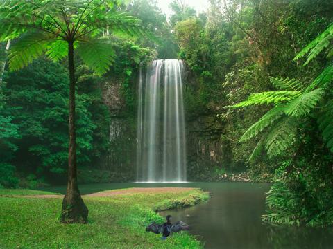 Millaa Millaa
