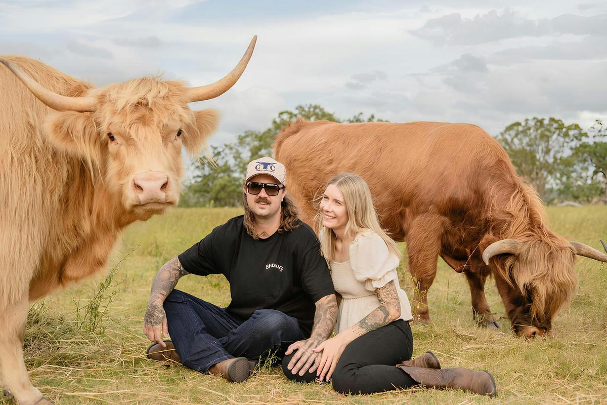 Mostyn Highland Fold - Family