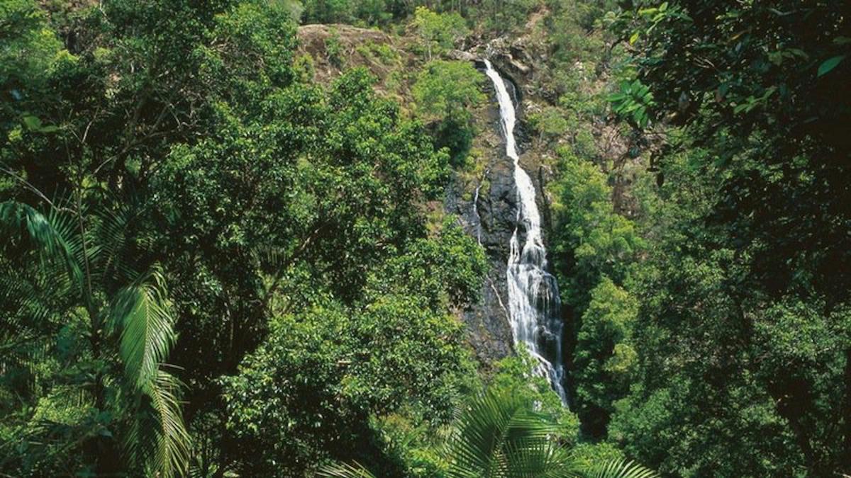 Mapleton Falls