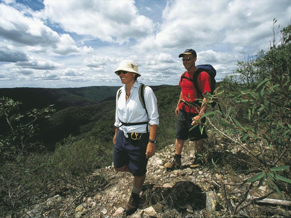 Mapleton Falls National Park