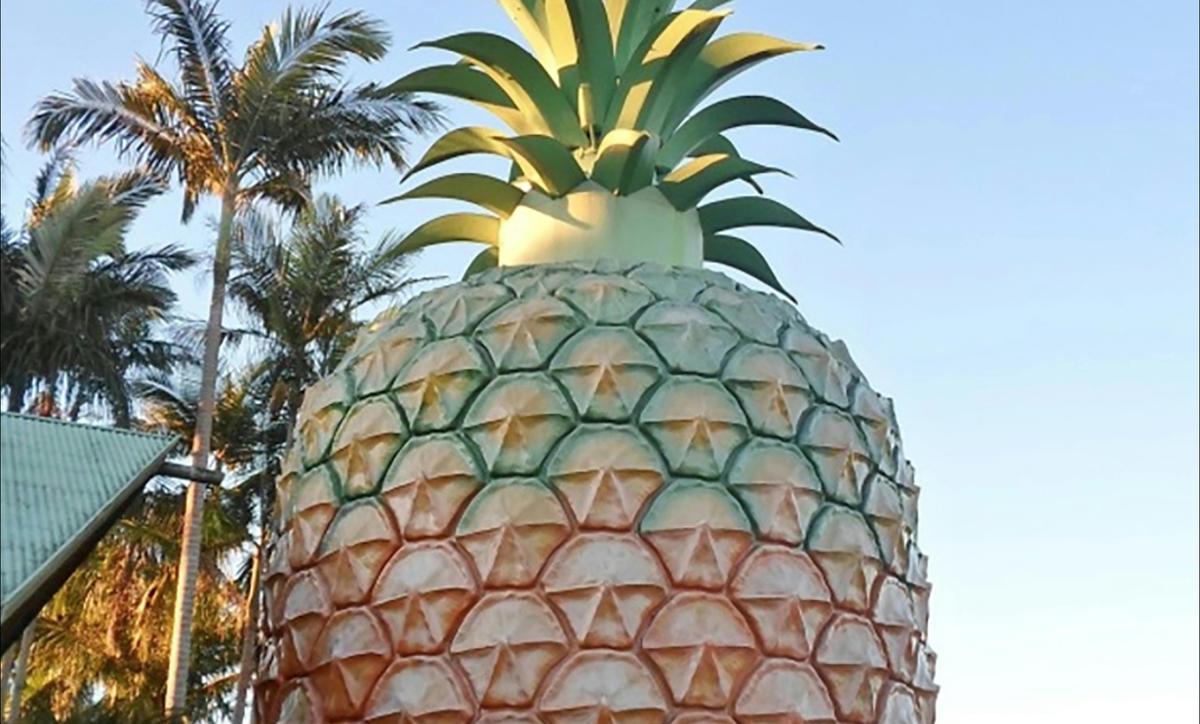 Big Pineapple