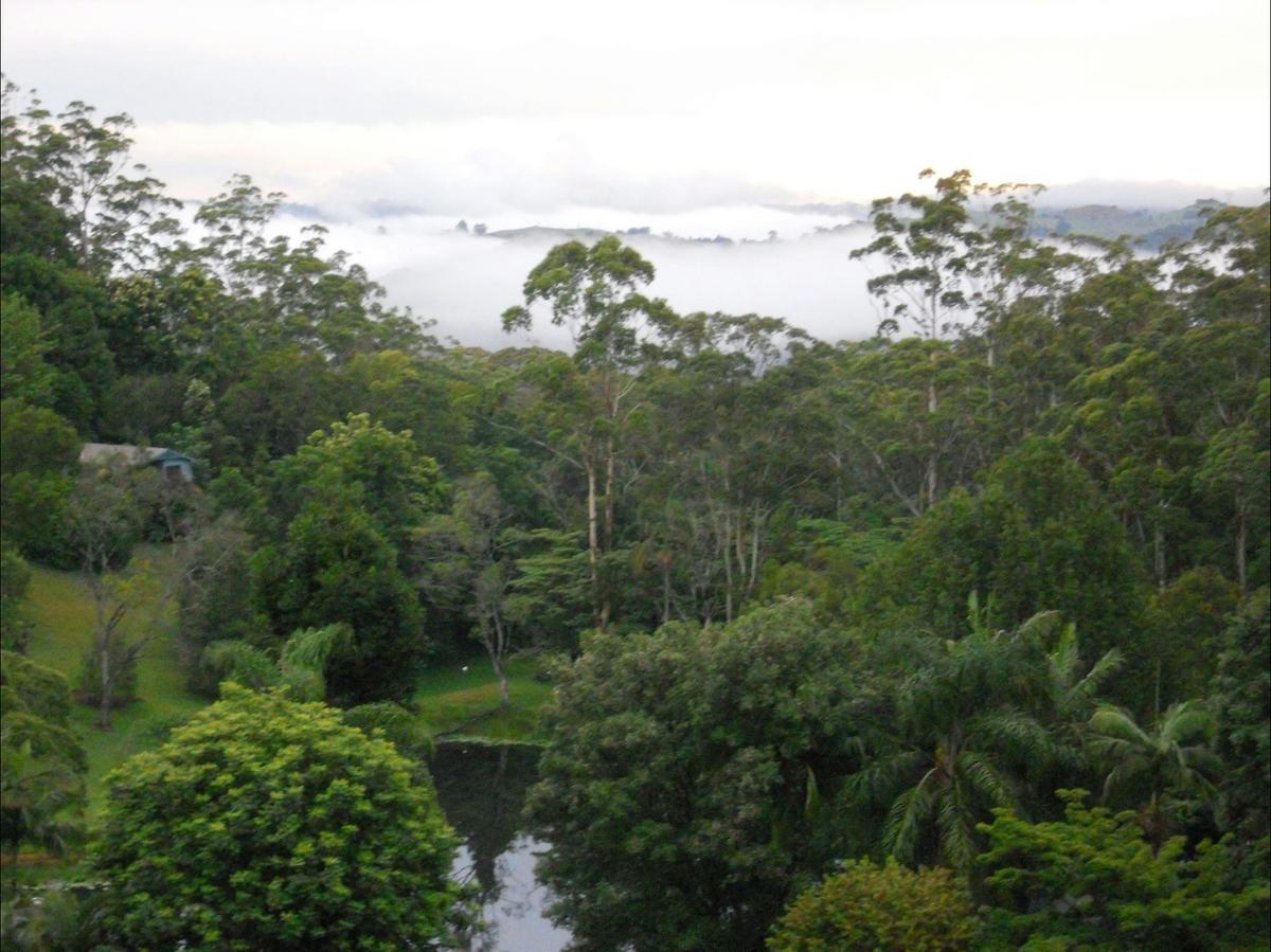 Silky Oak Cottage