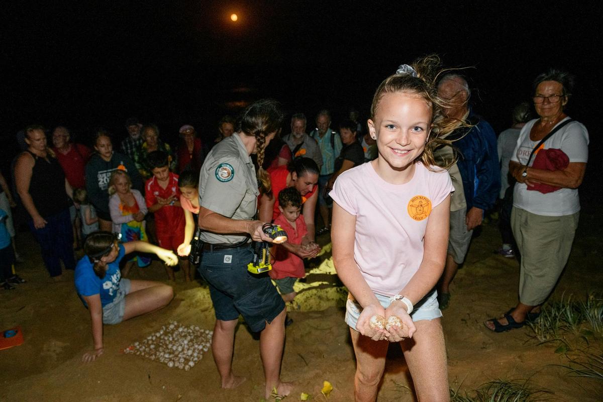 Mon Repos Turtle Encounter