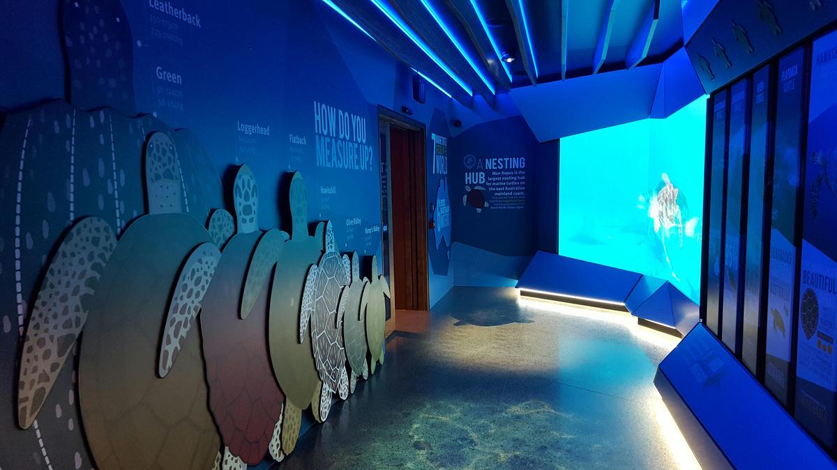 Explore the Turtle Tales immersive room.