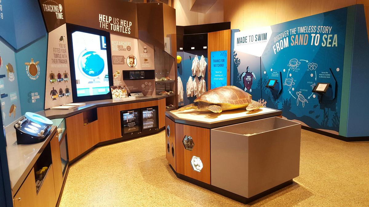 Interactive displays at the Mon Repos Turtle Centre